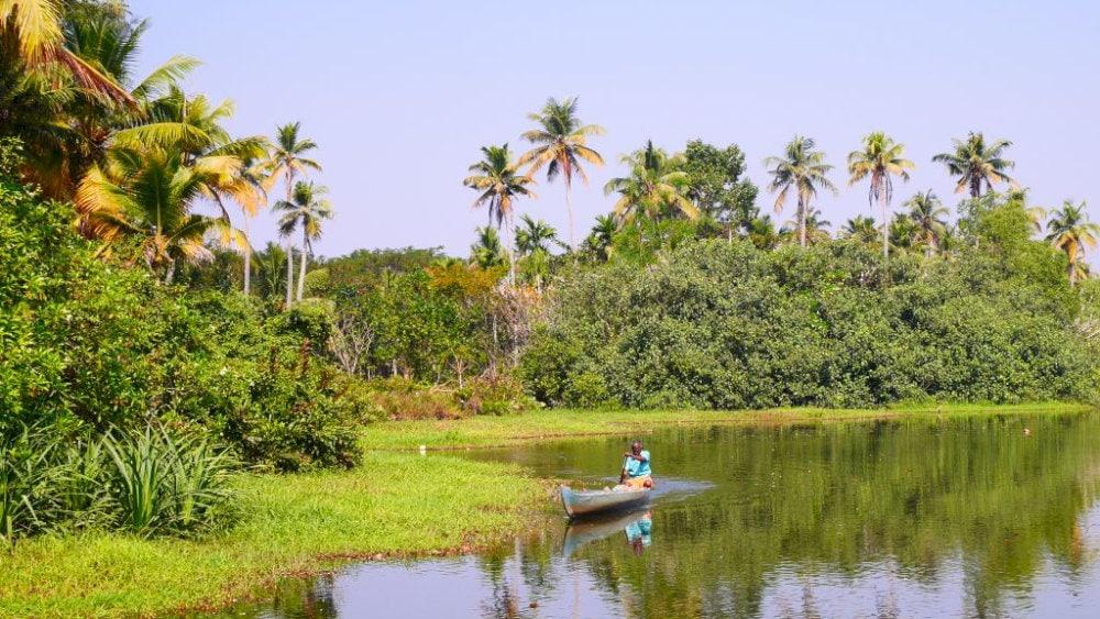Kochi is a city with a relatively mild climate